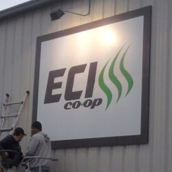 eci1