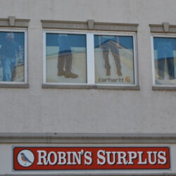 robins