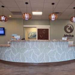 Aloha-Counter